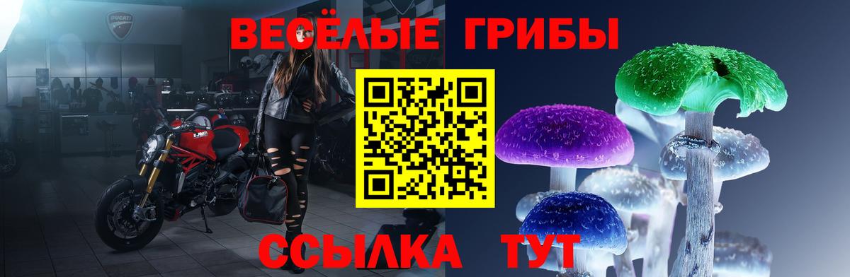 Галлюциногенные грибы MAGIC MUSHROOMS Нижнеудинск